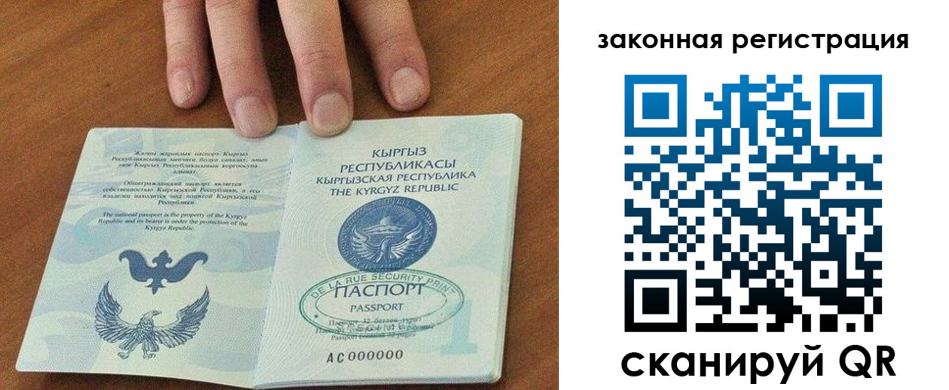прописка гарантия в Звенигороде